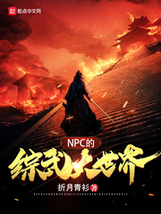 NPC的综武大世界