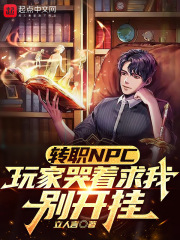 转职NPC，玩家哭着求我别开挂