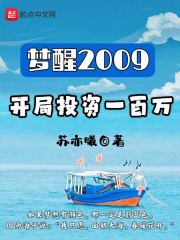 梦醒2009：开局投资一百万