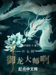 什么叫御龙大师啊