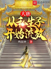 大唐：从私生子开始流放