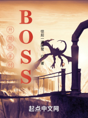 开局新手村BOSS