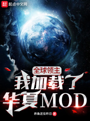 全球领主：我加载了华夏MOD