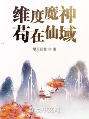 维度魔神苟在仙域