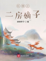 红楼之二房嫡子