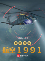 重燃造车航空1991