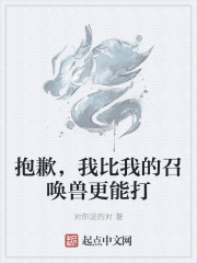 抱歉，我比我的召唤兽更能打