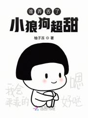 谁弄丢了小狼狗超甜