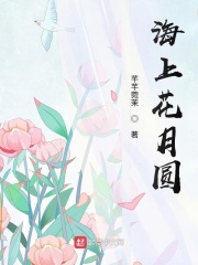 海上花月圆