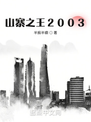 山寨之王2003